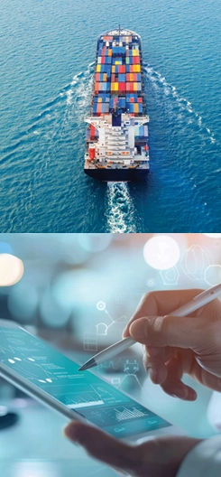 Distribución farmacéutica